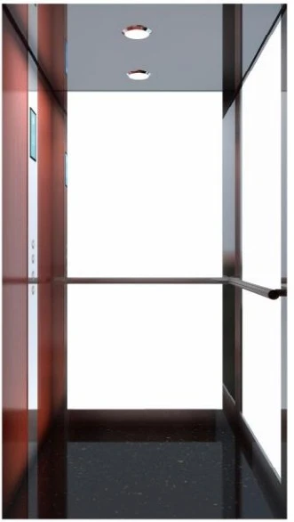Small Passenger Elevator suppliers