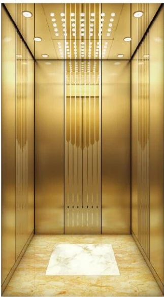 Small Passenger Elevator best